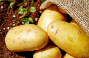 Potatoes and Gout