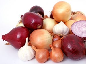 Onions and Gout